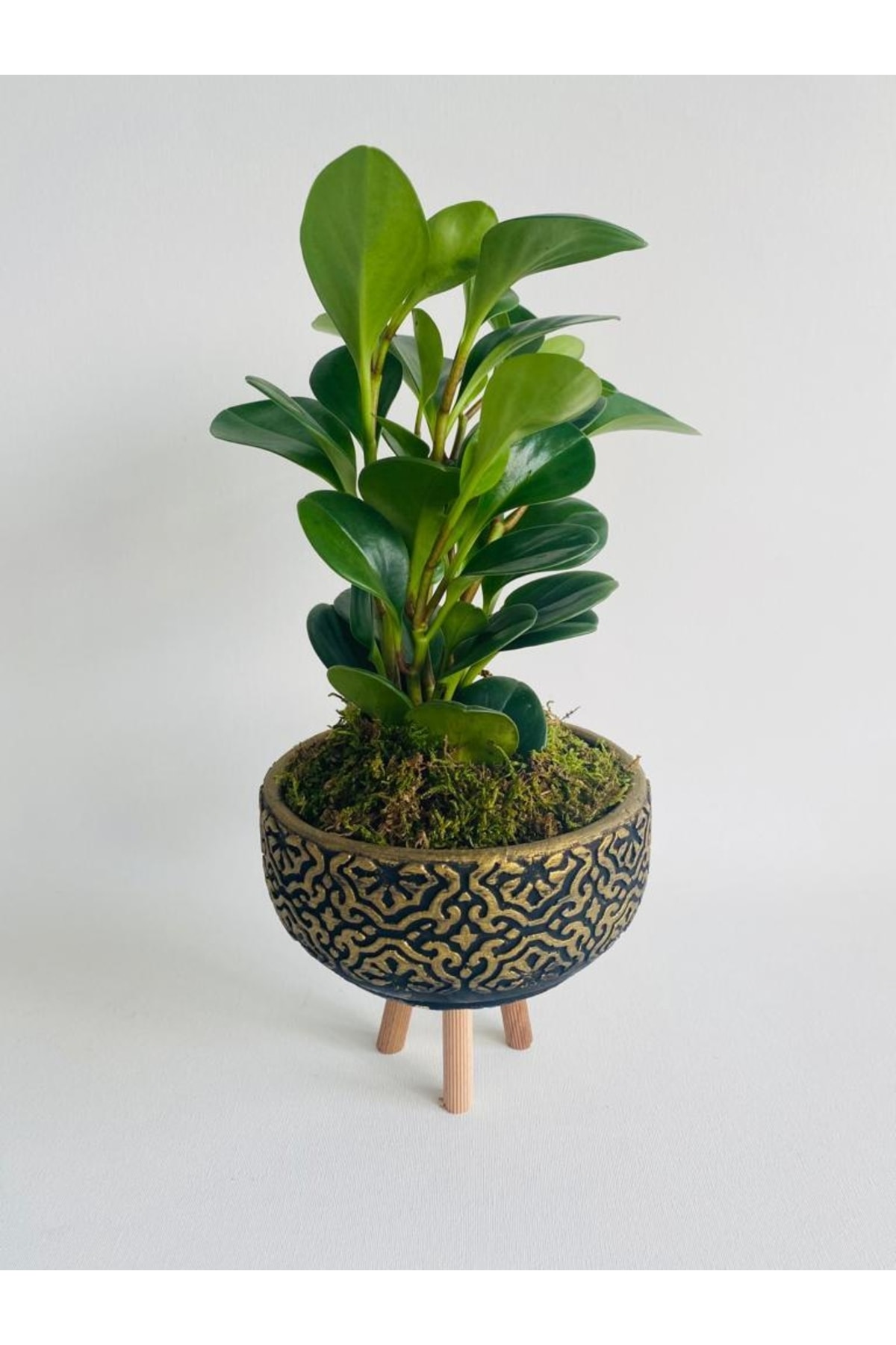 Image Description